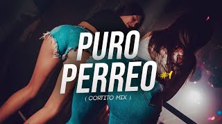 PURO PERREO 1  CORTITO MIX   MAURO RMX [upl. by Reniar]