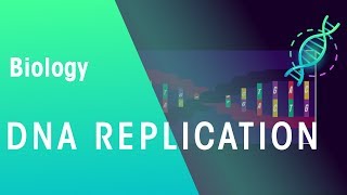 DNA Replication  Genetics  Biology  FuseSchool [upl. by Strade337]