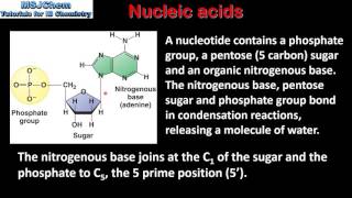 B8 Nucleic acids  Polynucleotides  DNA and RNA HL [upl. by Aneleve]