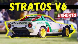 This Lancia Stratos HF Group 4 brings out the Voice 💪 Shorts [upl. by Haerle]