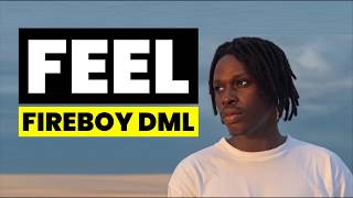 Fireboy DML  Feel Lyrics [upl. by Vogeley]