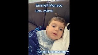 LEUKODYSTROPHY AWARENESS SLIDESHOW 2019 [upl. by Sanbo]