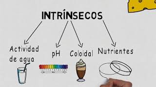 Factores que afectan el crecimiento microbiano [upl. by Lokkin]