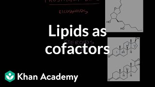 Lipids as cofactors and signaling molecules  Chemical processes  MCAT  Khan Academy [upl. by Mckay150]