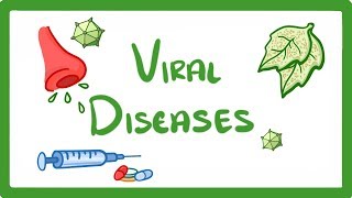 GCSE Biology  What Is a Virus  Examples of Viral Disease HIV Measles amp TMV 36 [upl. by Kalikow]