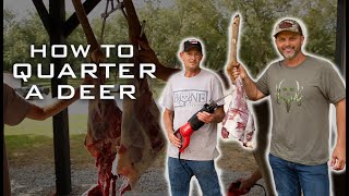 How To QUARTER A DEER The Easy Way [upl. by Barn]