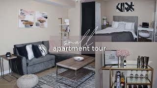 My Small Apartment Tour😭  AFFORDABLE Minimal  Modern Decor [upl. by Namzzaj]