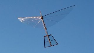 Servo Powered Ornithopter  S1 Robotic Bird  Build from Easy DIY Kit [upl. by Wetzel]