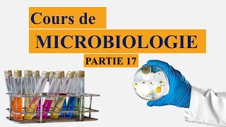 Cours de microbiologie partie 17 métabolisme bactérien [upl. by Eyssej]