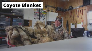 Coyote Fur Blanket [upl. by Htiderem]