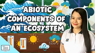 Abiotic Components of an Ecosystem  Biology [upl. by Thetos]