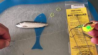 Chinook SalmonSteelHead Sliding Mooching RIG Super Easy [upl. by Isborne]