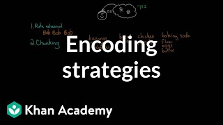 Encoding strategies  Processing the Environment  MCAT  Khan Academy [upl. by Johnathan20]