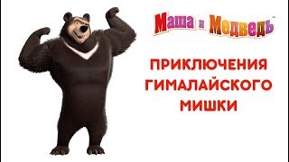 Маша и Медведь  Приключения Гималайского Мишки 🐻 Все серии подряд 🎬 [upl. by Danas626]