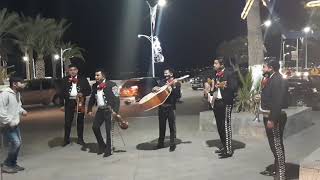 EL MONO DE ALAMBRE QUE CHINGN A SU MADRE  CON MARIACHI [upl. by Suhploda]