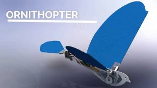 🎥HOW TO MAKE ROBOTIC BIRD  ORNITHOPTER  SOLIDWORKS 3D MODEL [upl. by Leanna244]