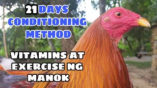 21 DAYS CONDITIONING METHOD vitamins amp exercise ng mga manok  BALERIANS GAMEYARD [upl. by Saylor]