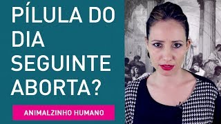 Pílula do dia seguinte é abortiva Contracepção  Animalzinho Humano [upl. by Cilla]