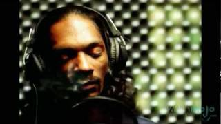 The Life and Career of Snoop Dogg [upl. by Auvil]