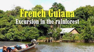 French Guiana Excursion in the rainforest [upl. by Ahsekahs]