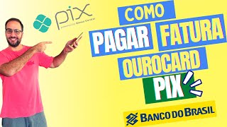 Como PAGAR a FATURA OUROCARD com PIX [upl. by Ayokal]