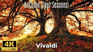 Vivaldi  Autumn Four Seasons 4K [upl. by Pentha]