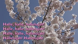 Halle Halle Hallelujah with lyrics for congregations [upl. by Sirad439]