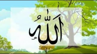 The 99 names of Allah  Asma ul Husna  Nasheed by loveforislam [upl. by Rettuc952]