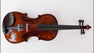 MUSICAL STRING 44 Violin Unboxing demo [upl. by Enylhsa]