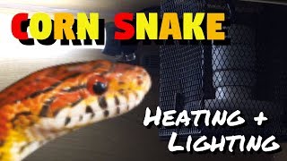 Corn Snake Heating And Lighting ARCHIVED [upl. by Ddej]