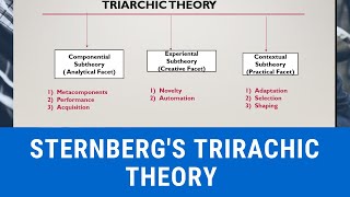 STERNBERGS TRIARCHIC THEORY OF INTELLIGENCE [upl. by Rettig]