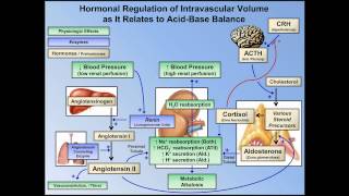 GuillainBarré Syndrome  Mirandas Journey [upl. by Osmen]