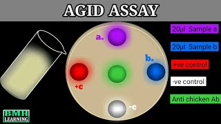 Agar Gel Immunodiffusion Assay  AGID Assay [upl. by Chainey]