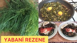 Yabani Rezene  Arapsaçı Otu Kavurması  Yemek Tarifleri  🥚Yumurtalı Ot Yemekleri👌👌 [upl. by Becca]