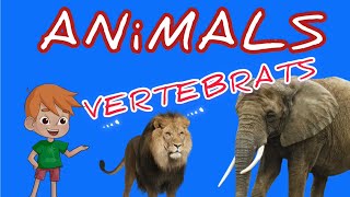 Els animals VERTEBRATS  vídeos educatius [upl. by Casandra]