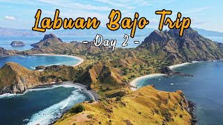 Labuan Bajo Trip  Day 2  Unbelievable Padar Island Pink Beach Komodo Dragon and Taka Makasar [upl. by Georgeanna]