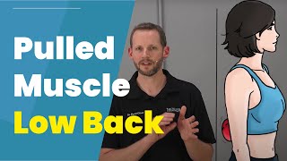 Pulled Muscle In Low Back 3 DIY Treatments [upl. by Lindy]