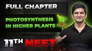 Photosynthesis in Higher Plants FULL CHAPTER  Class 11th Botany  Arjuna NEET [upl. by Romo916]