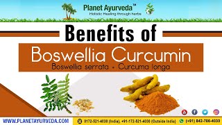 Benefits of Boswellia Boswellia serrata  Curcumin Curcuma longa [upl. by Airamalegna346]