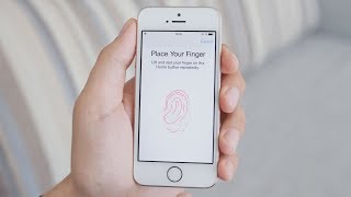 How Does Fingerprint Scanning Work [upl. by Cohbath]