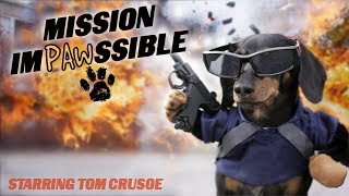 MISSION IMPAWSSIBLE  Funny Wiener Dog Action Movie [upl. by Whang961]