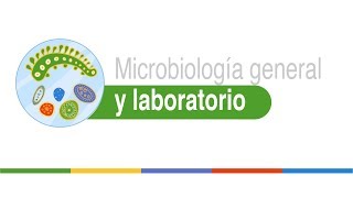 Métodos de recuento microbiano [upl. by Omiseno147]