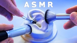 ASMR XXL Brushing amp Brushes ONLY Compilation NO TALKING Tingle Study Sleep Relax [upl. by Ludewig]