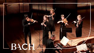 Bach  Orchestral Suite no 3 in D major BWV 1068  Mortensen  Netherlands Bach Society [upl. by Creamer]