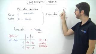 X da Questão Biologia Cruzamento Teste Parte 1 [upl. by Enimassej957]