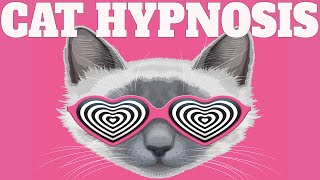 Sound To Calm Cats Within Minutes  Cat Hypnosis [upl. by Omarr]