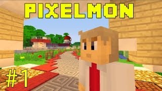 Pixelmon  Learning The Basics  Part 1 [upl. by Ynnahc]