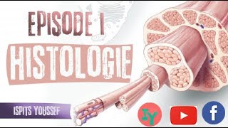 Episode 1HistologieLe tissu épithélial [upl. by Cupo689]