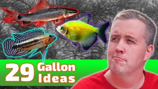 The BEST Ideas for Your 29 Gallon Fish Tank [upl. by Steffin]