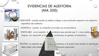 EJEMPLO PRÁCTICO DE LA EJECUCIÓN DE LA AUDITORÍA [upl. by Annej]